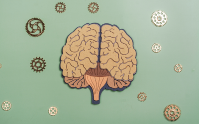 The Mineral-Mind Connection: Supporting Mental Health Through HTMA